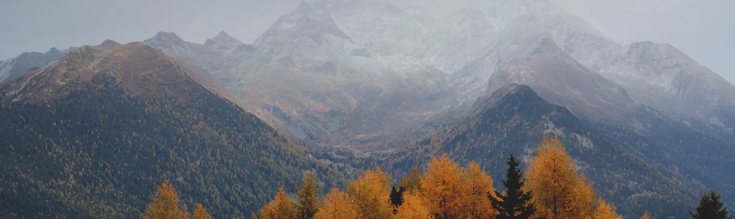 Cloudy Mountain Covered In Snow with Trees