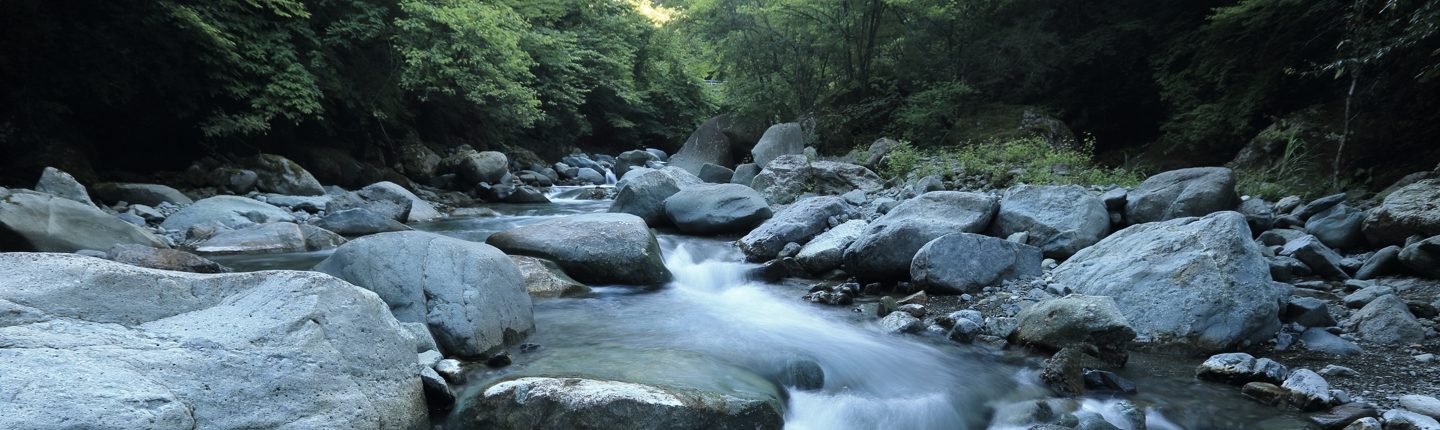 creek in wooded area flowing over rocks